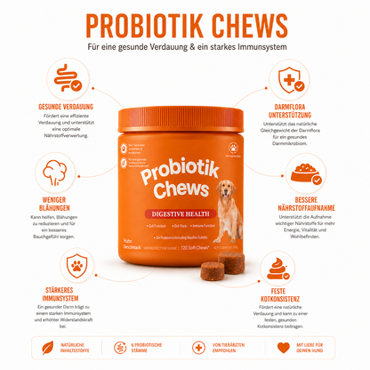 Probiotik Chews